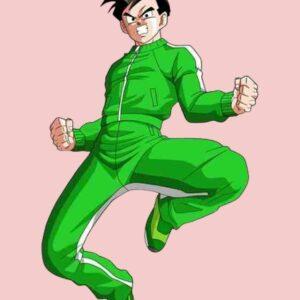 Gohan Tracksuit